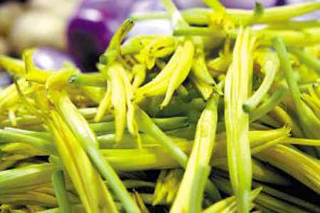 鲜黄花菜多少钱一斤